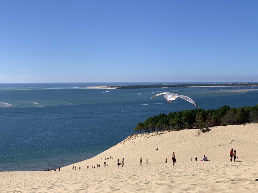 Dune du Pilat
